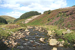 Walking and cycling in the Ribble Valley and Forest of Bowland