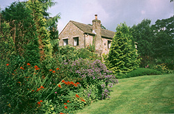 House and garden