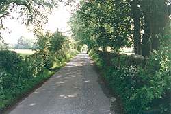 Walking and cycling in the Ribble Valley and Forest of Bowland